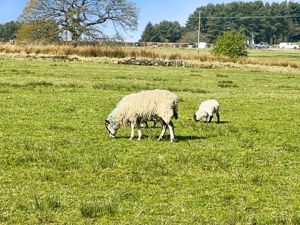 View- click for photo gallery